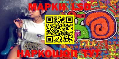 стафф Обь