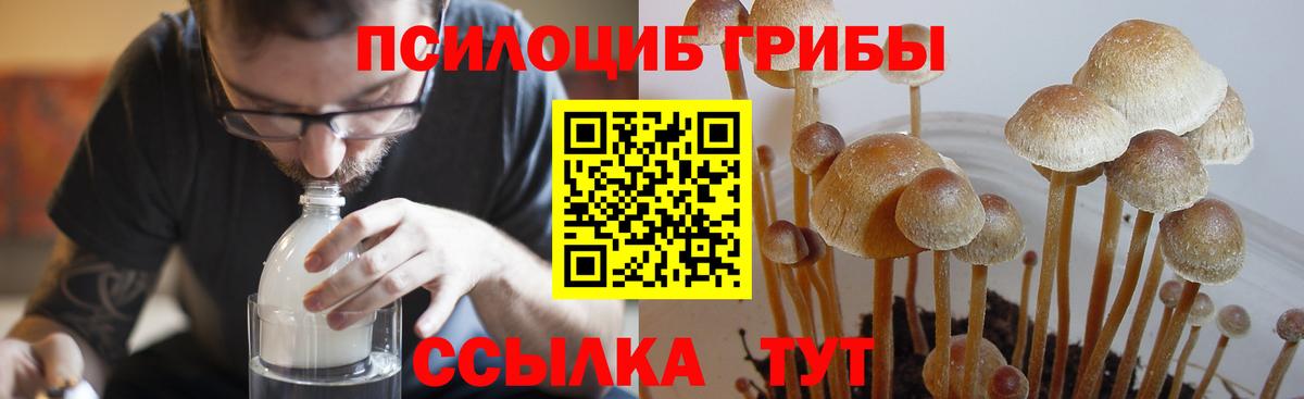 Псилоцибиновые грибы ЛСД Родники